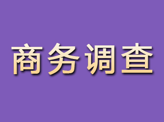 沅陵商务调查